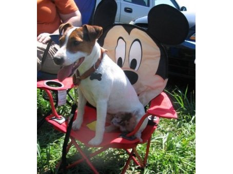 comfy minnie mouse chair