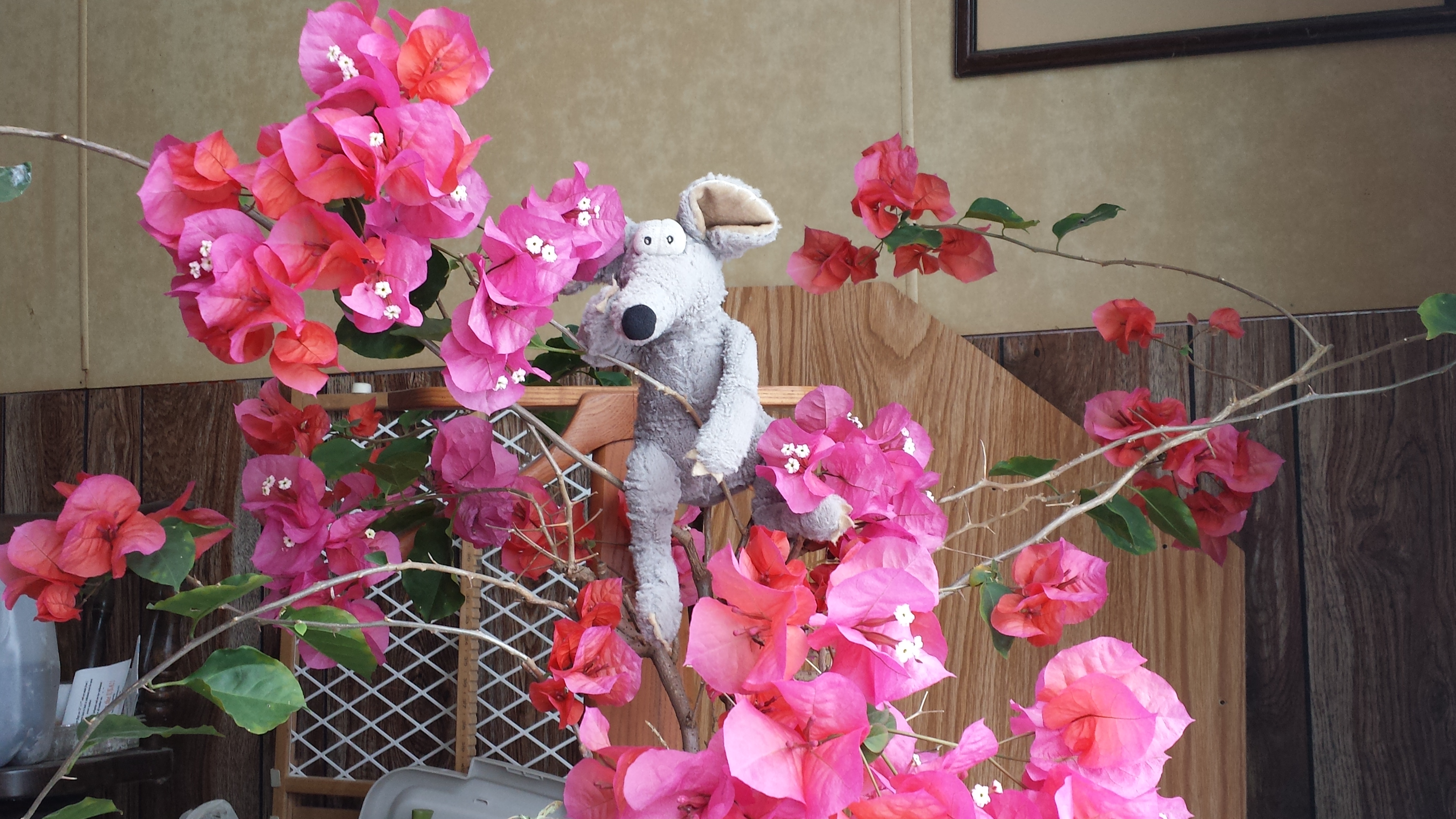Ryko The Rat Flowers