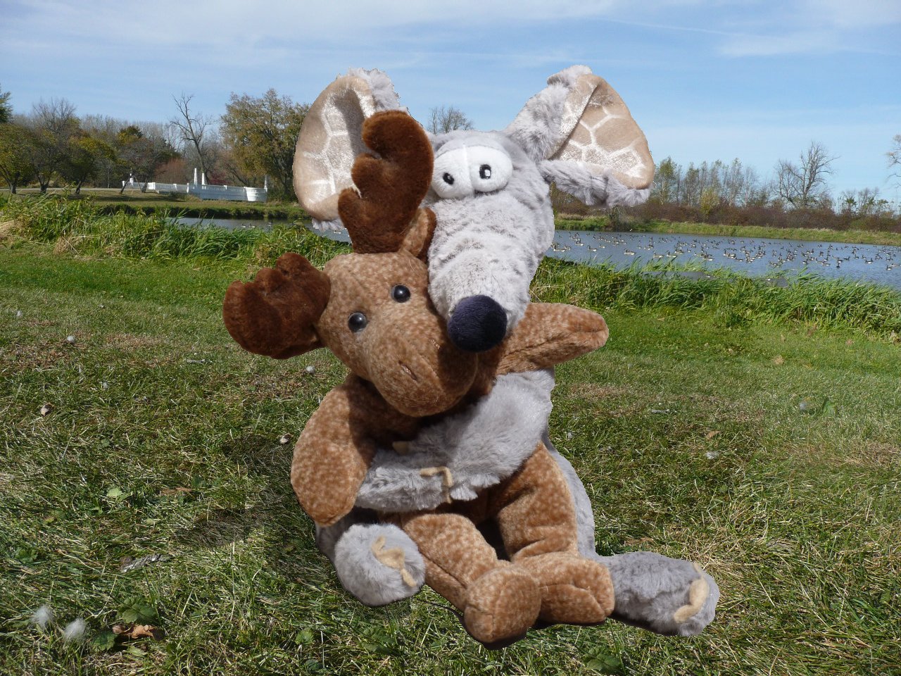 Ryko  and Mr Moose