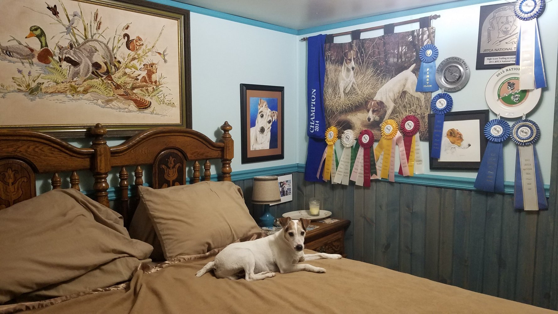 national ribbons/prizes